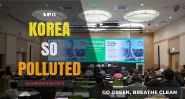 Understanding Korea's Pollution Crisis: Causes and Environmental Impact