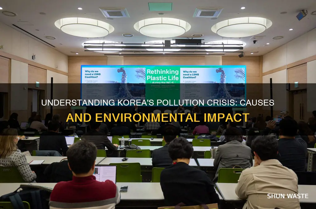why is korea so polluted