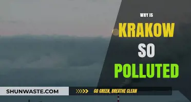 Why Krakow's Air Quality Crisis Persists: Causes and Consequences