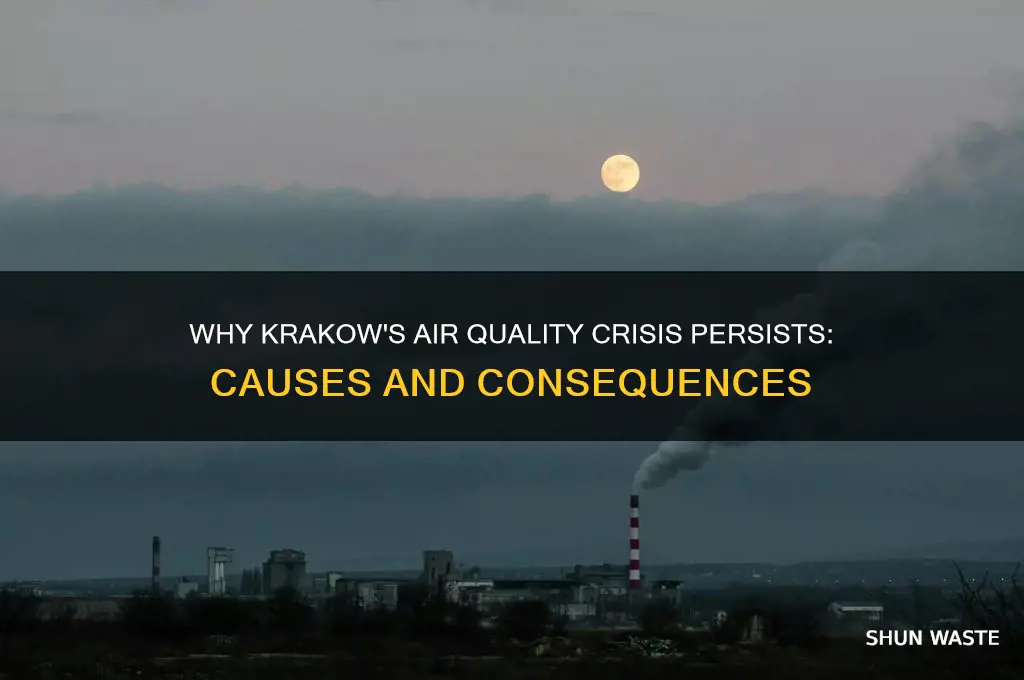 why is krakow so polluted