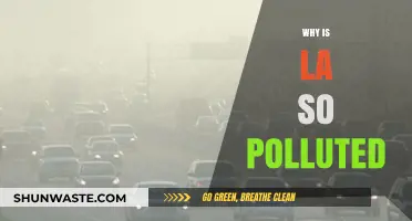Why LA's Air Quality is Among the Worst in the US