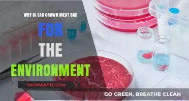 Lab-Grown Meat's Hidden Environmental Costs: A Critical Analysis