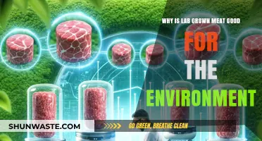 Lab-Grown Meat: A Sustainable Solution for Environmental Preservation