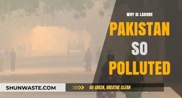 Lahore's Air Crisis: Uncovering the Causes of Pakistan's Pollution