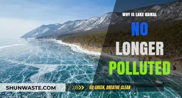 Lake Baikal's Revival: How Conservation Efforts Ended Pollution Crisis