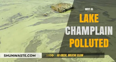 Unveiling the Causes of Lake Champlain's Troubling Pollution Crisis