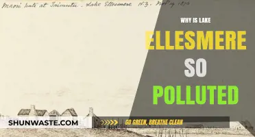 Unveiling the Causes of Lake Ellesmere's Severe Pollution Crisis