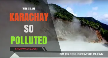 Lake Karachay's Toxic Legacy: Uncovering the Causes of Extreme Pollution