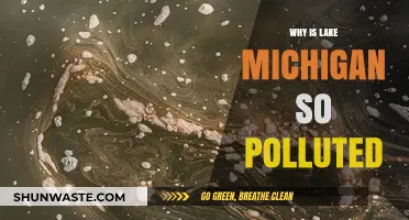 Unveiling the Causes of Lake Michigan's Alarming Pollution Crisis