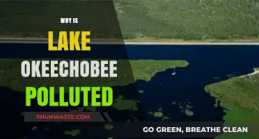 Unveiling the Causes of Lake Okeechobee's Persistent Pollution Crisis