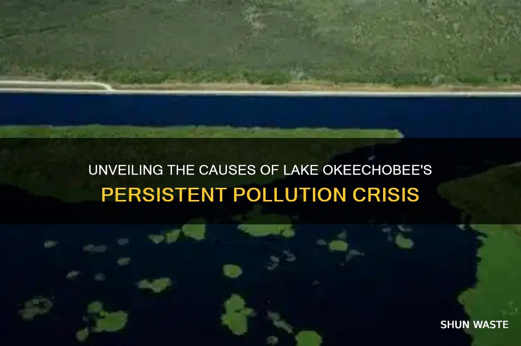 why is lake okeechobee polluted