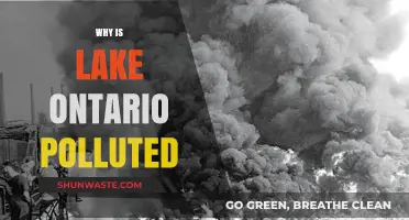 Unveiling the Causes of Lake Ontario's Pollution Crisis