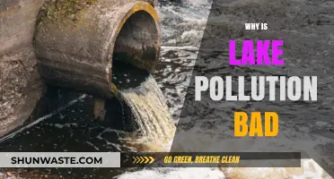 Lake Pollution's Devastating Impact: Harming Ecosystems, Health, and Communities