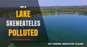Understanding the Pollution Crisis in Lake Skeneateles: Causes and Solutions