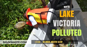 Unveiling the Causes of Lake Victoria's Alarming Pollution Crisis