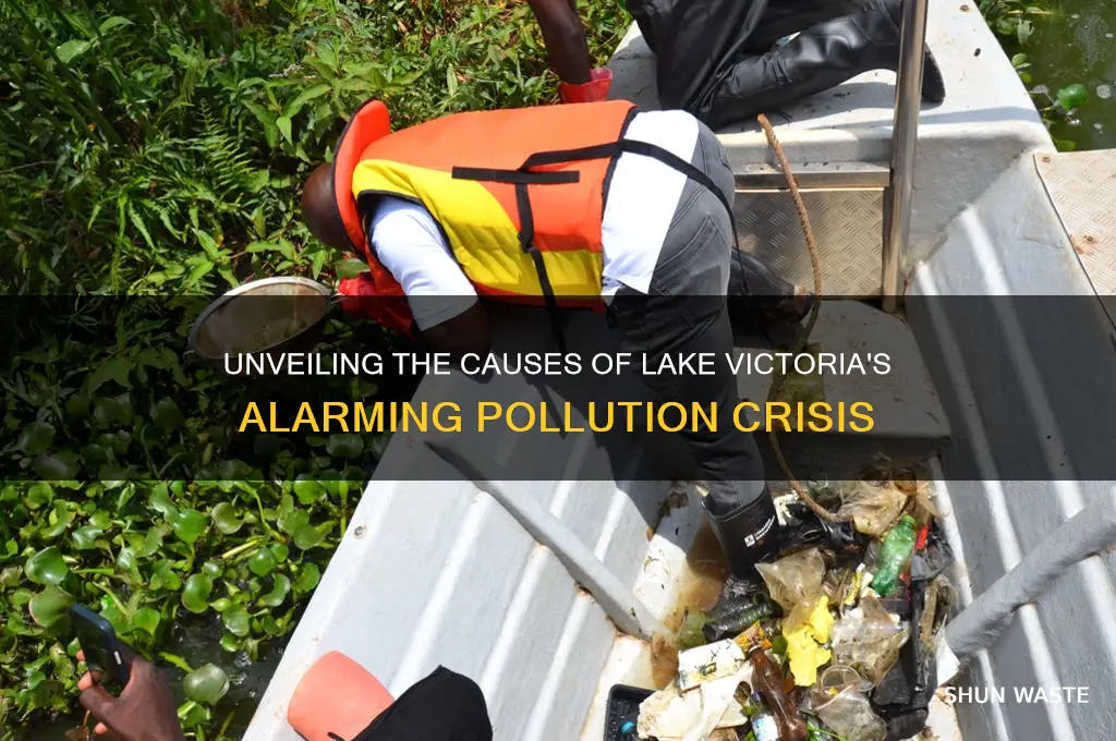 why is lake victoria polluted