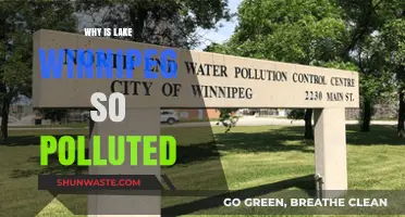 Unveiling the Causes of Lake Winnipeg's Severe Pollution Crisis