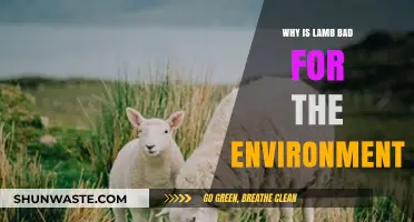 Lamb's Environmental Impact: Uncovering the Hidden Costs of Consumption