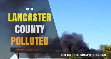 Lancaster County's Pollution Crisis: Uncovering Causes and Seeking Solutions