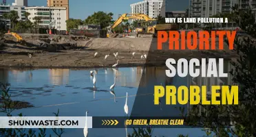 Land Pollution: A Critical Social Issue Demanding Immediate Global Action