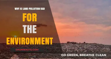 Land Pollution's Devastating Impact: Harming Ecosystems, Health, and Our Future