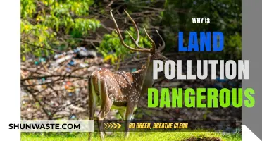 Land Pollution's Hidden Dangers: Threats to Health, Environment, and Future