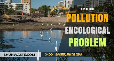 Land Pollution: A Growing Ecological Crisis and Its Impact