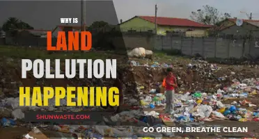 Understanding Land Pollution: Causes, Impacts, and Prevention Strategies