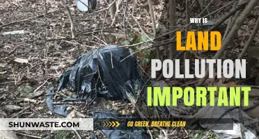 Understanding Land Pollution: Its Impact and Why It Matters Urgently