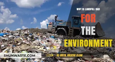 Landfill's Environmental Impact: Harmful Effects and Sustainable Alternatives