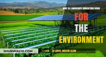 Eco-Friendly Benefits of Landscape Irrigation for a Greener Environment