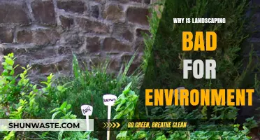 Landscaping's Hidden Costs: Environmental Impacts You Need to Know