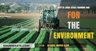 Large-Scale Farming's Environmental Impact: Unsustainable Practices and Ecological Consequences
