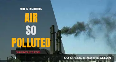 Las Cruces Air: What's Causing the Pollution?