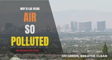 Las Vegas Air: Why So Polluted?