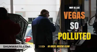 Las Vegas Pollution Crisis: Causes and Consequences of Sin City's Smog