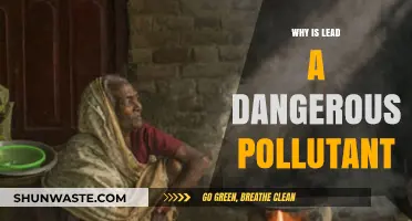 Lead Pollution: Silent Threat to Health and Environment Explained
