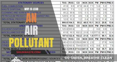 Lead's Toxic Legacy: A Global Air Pollutant