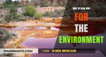 Toxic Threat: How Lead Pollution Harms Ecosystems and Human Health