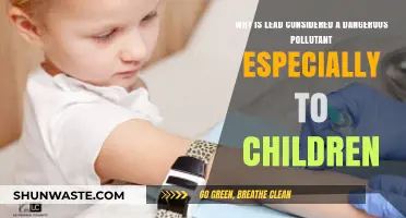 Lead's Hidden Dangers: Why It's a Silent Threat to Children's Health