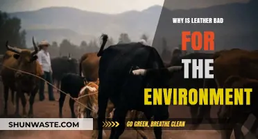 Leather's Environmental Impact: Uncovering the Hidden Costs of a Luxury Material