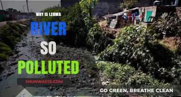 The Lerma River Crisis: Uncovering the Causes of Severe Pollution
