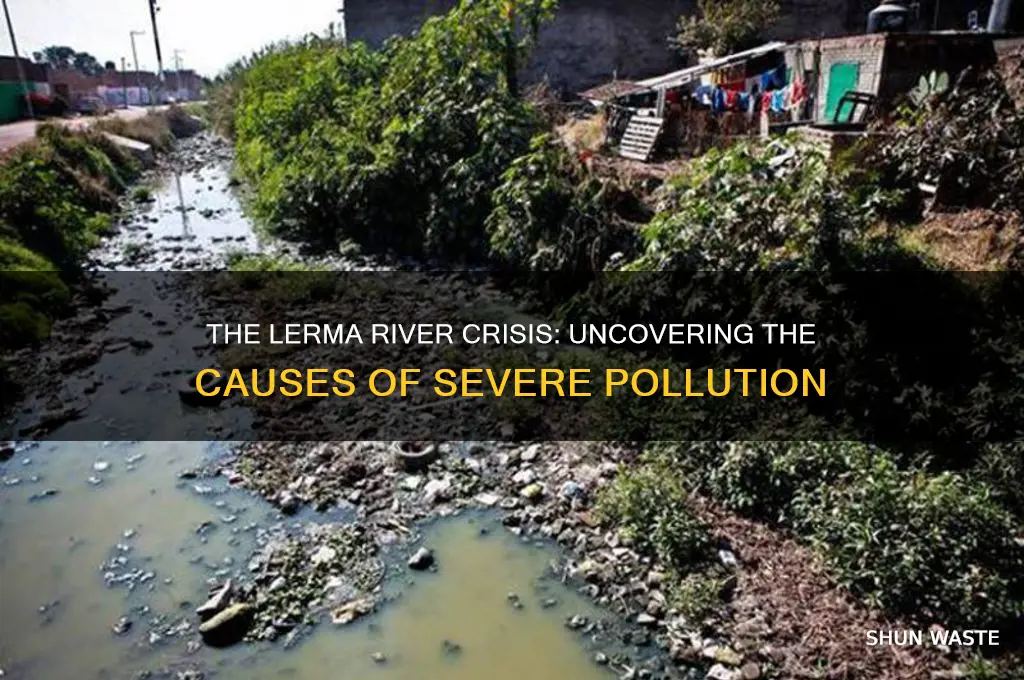 why is lerma river so polluted