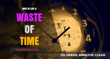 Is Life Truly a Waste of Time? A Philosophical Inquiry