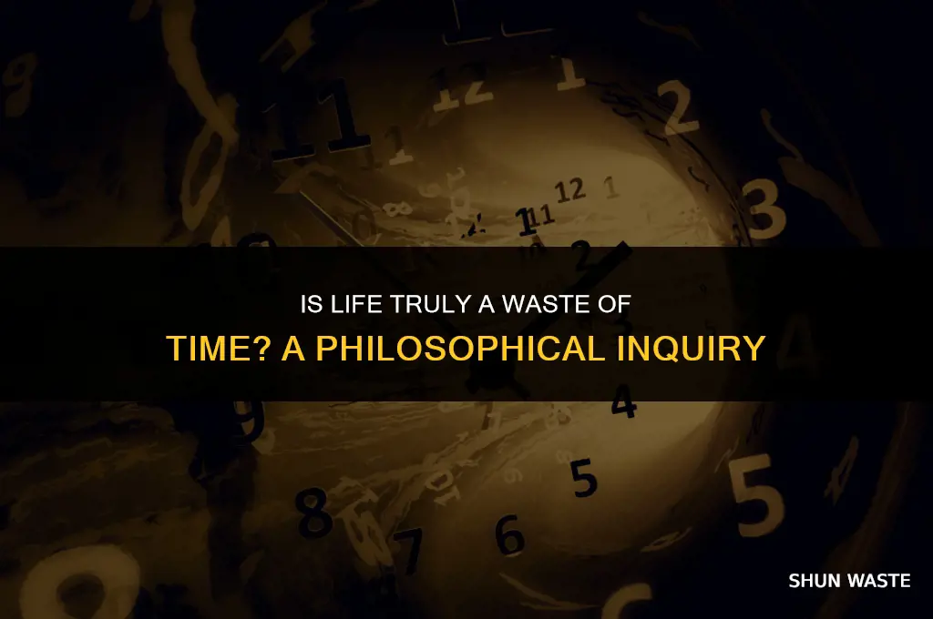 why is life a waste of time