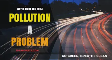 Light and Noise Pollution: Hidden Dangers to Health and Ecosystems