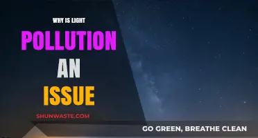 Light Pollution's Dark Side: Environmental and Health Impacts Revealed
