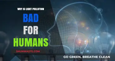 Light Pollution's Hidden Toll: How Artificial Light Harms Human Health