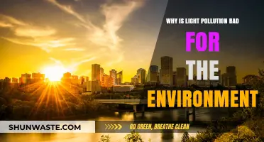 Light Pollution's Dark Impact: Harming Ecosystems and Disrupting Nature's Balance