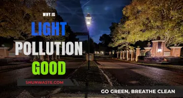 Bright Nights: The Unexpected Benefits of Light Pollution